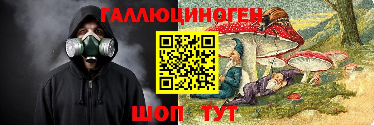 Галлюциногенные грибы Magic Shrooms  Вход с VPN  Балаково  Псилоцибиновые грибы прущие грибы 