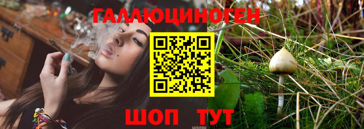 Псилоцибиновые грибы Magic Shrooms Балаково